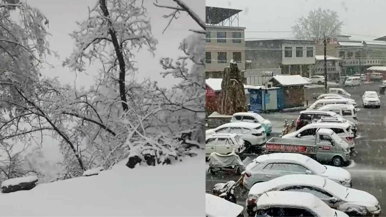 河南多地发布暴雪红色预警!大雪持续来袭注意防范