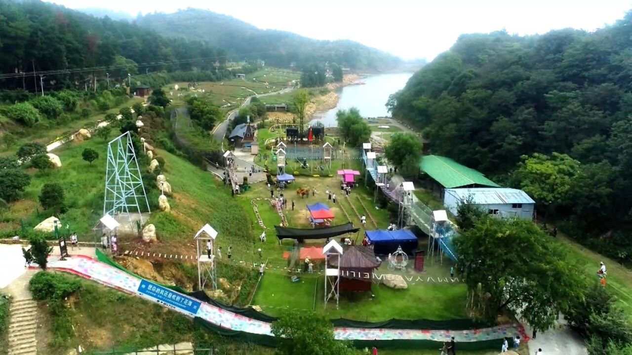 百日菊花海盛开!茶陵花海乡村旅游引客来