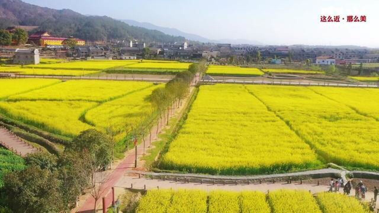 江西省南昌市,安义县第十二届金花文化旅游节