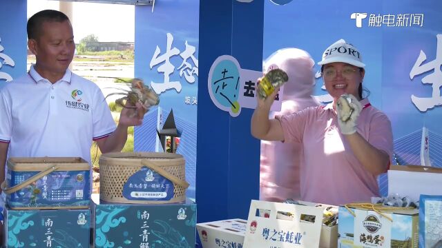 2023年湛江市生态海盐文化季启动