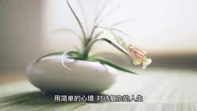 简单的心情