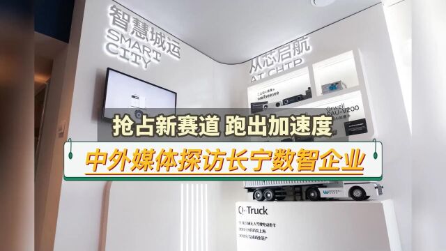 新赛道上跑出加速度,长宁这两家数智企业有何制胜密码?