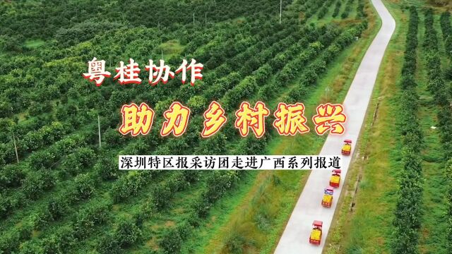 粤桂协作 乡村振兴|南山携手资源县共谋共建生物医药科技产业园