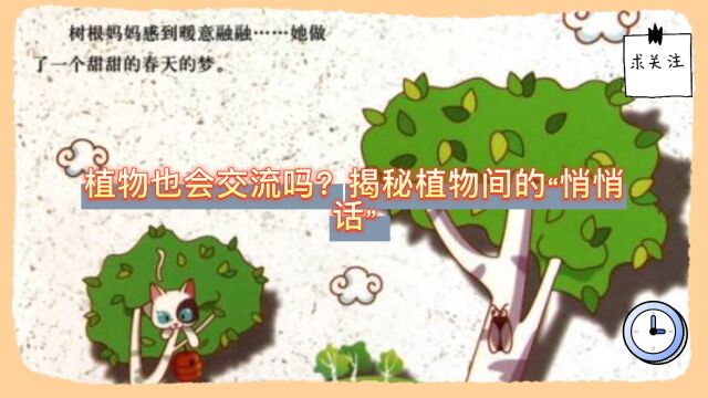 植物也会交流吗?揭秘植物间的“悄悄话”