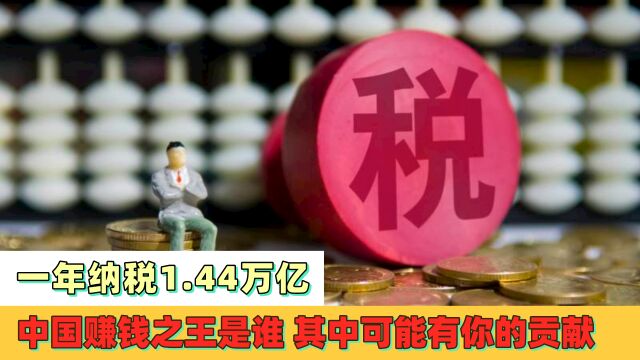 一年纳税1.44万亿,中国的赚钱之王是谁?其中可能还有你的贡献