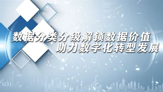 数据分类分级解锁数据价值,助力数字化转型发展