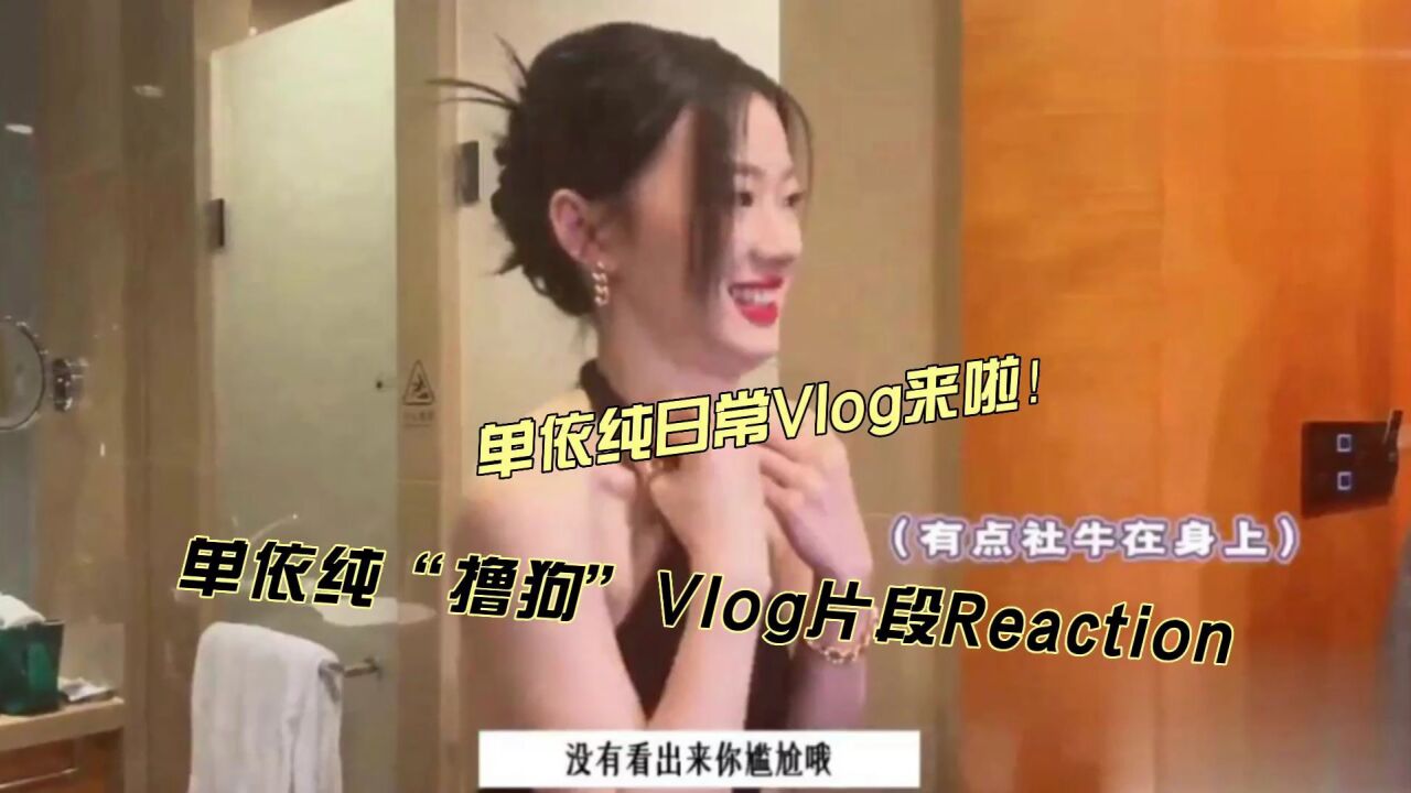 单依纯撸狗日常Vlog片段reaction