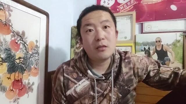 335为什么你网上买狗被骗#买狗被骗 #犬知者