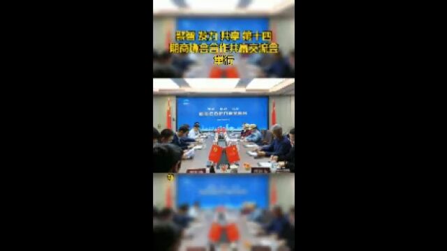 聚智 发力 共享 第十四期商协会合作共赢交流会举行