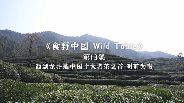 《食野中国 Wild Table》第13集预告片