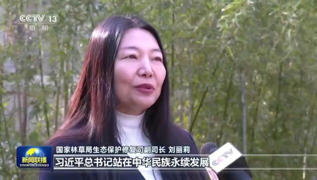 今日头条 | 【新思想引领新征程】植树造林 建设美丽中国