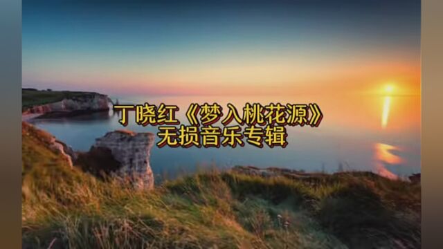 丁晓红《梦入桃花源》经典系列精选13首歌曲#我为消费者发声 #这里的歌 #无损音乐