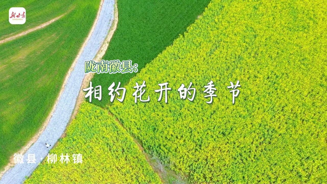 瞰陇原|徽县:相约花开的季节