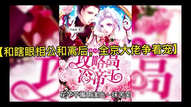 《和瞎眼相公和离后,全京大佬争着宠》花芊芊小说全文在线阅读