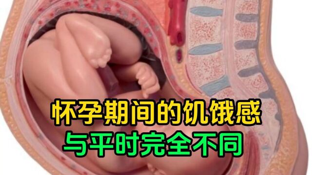 怀孕期间的饥饿感与平时完全不同!