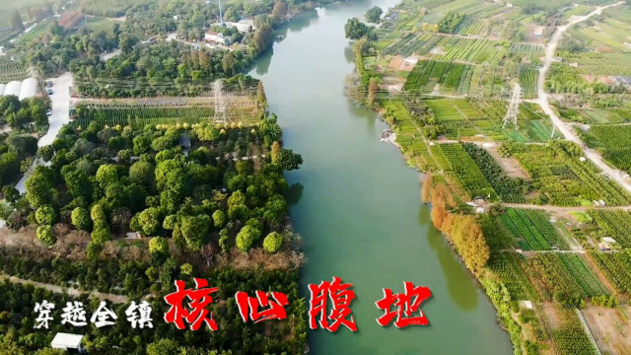 母亲河蕴藏陈村繁荣密码——昔日翠竹映碧水,今朝游龙绕智城