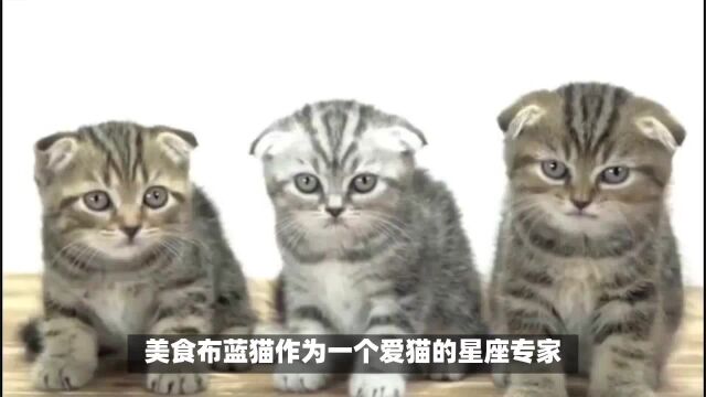 今日金牛座运势旺盛,勤劳踏实今日金牛座运势旺盛,勤劳踏实