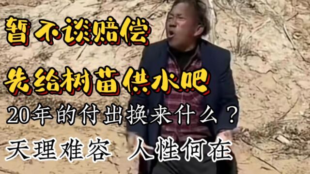 林场被煤矿截断水源: 2016年因非法占地,神华宁煤被判赔孙国友727万