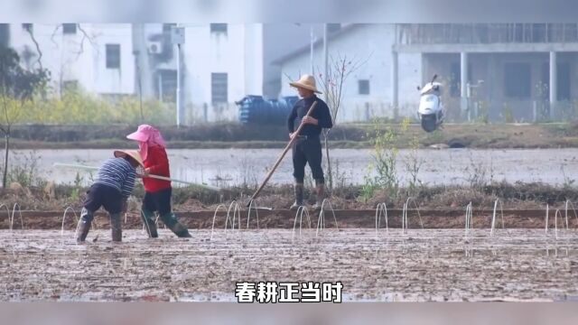 春耕农民正忙时