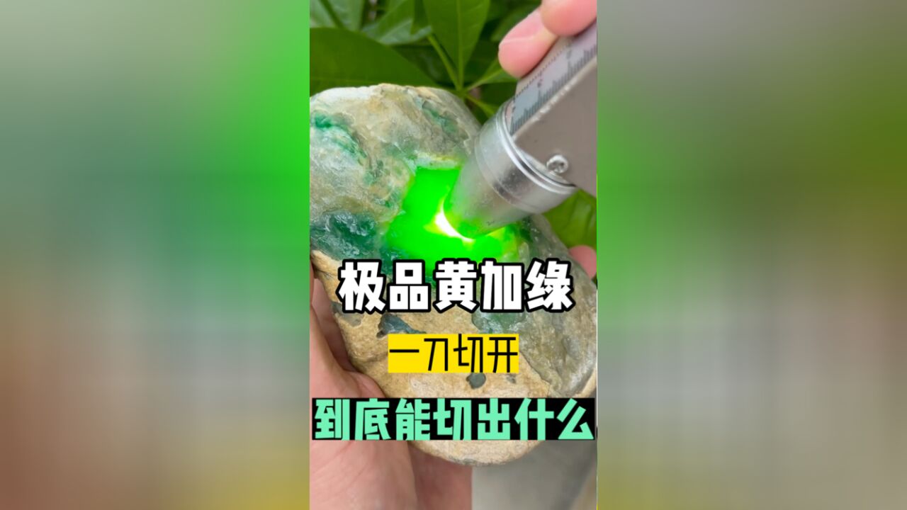 极品黄加绿,切出百万级别的满绿级别挂件是一种什么样的体验!