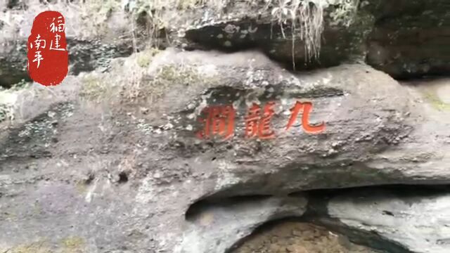 大红袍是武夷岩茶中的状元,极为名贵.武夷山ⷮŠ大红袍景区(六)