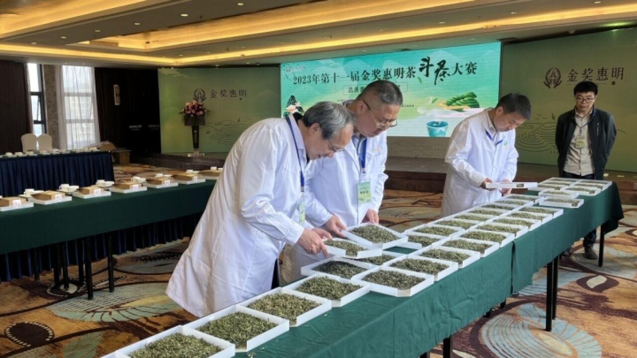 斗茶怎么斗?茶王是哪款?第十一届金奖惠明茶斗茶大赛闭幕