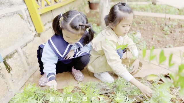 一口青团留住暮春好味道