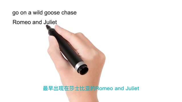 Jason:英语思维解密,为什么a wild goose chase表示徒劳,轻松学英语