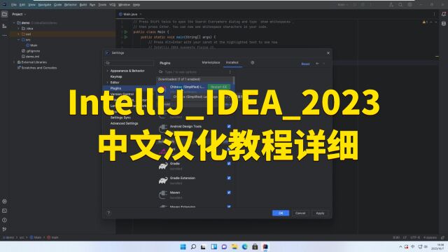 IntelliJIDEA2023中文汉化教程详细