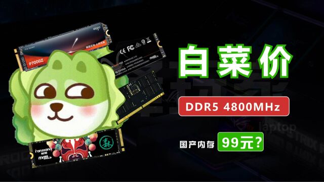 国产内存白菜价?8GB DDR5 4800MHz零售新低99元?