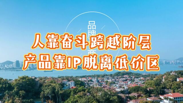 人靠奋斗跨越阶层,产品靠IP脱离低价区