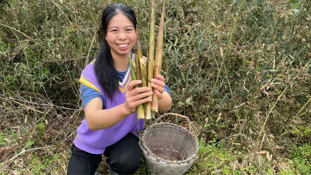 拔小竹笋的季节到了,拔地而起的新鲜水笋,你们爱吃吗?