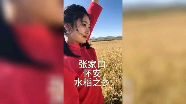 张家口水米之乡怀安太美了