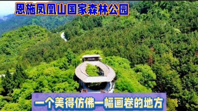 恩施凤凰山森林公园好美啊