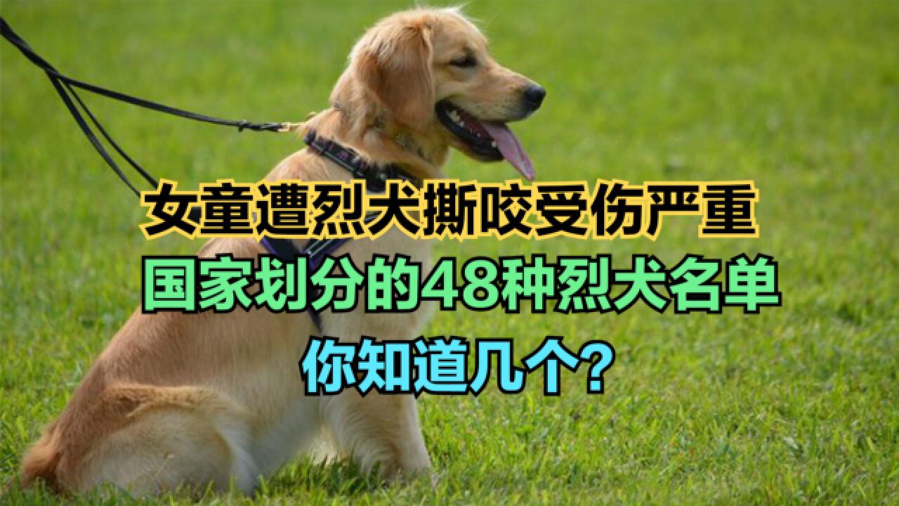 咬伤女童烈犬不在当地禁养犬名单中!国家划分的烈性犬名单,你知道几个?