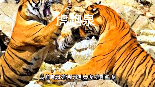 民间故事,虎跑泉