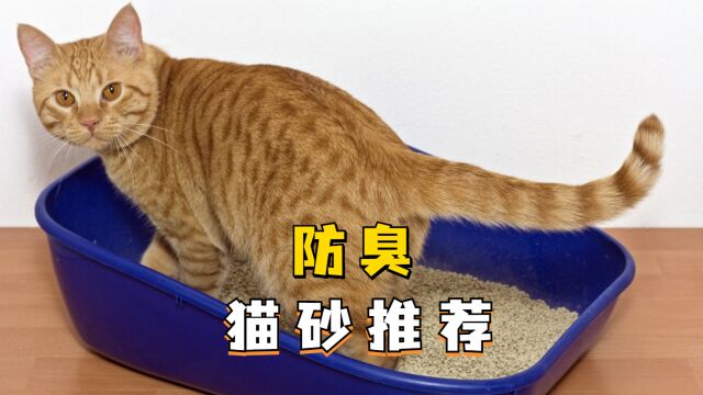 防臭猫砂怎么选?这几能挑好猫砂!