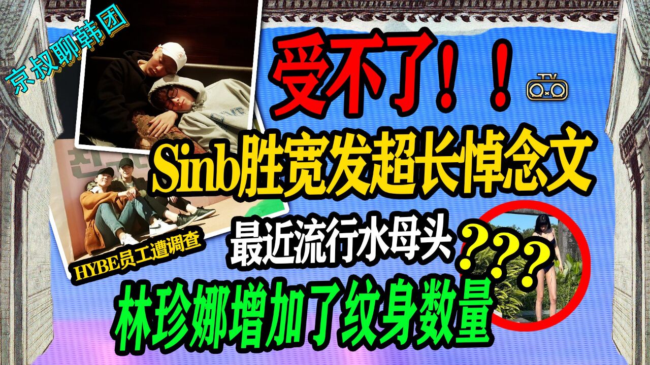 N.538 谁受得了sinb胜宽超长悼念文NANA纹身又多了?HYBE被调查【老北京聊韩团】