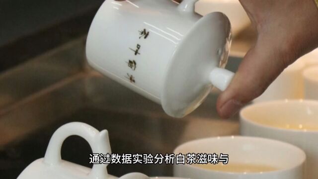 茶来藏通过数据实验分析白茶滋味与化学成分的联系