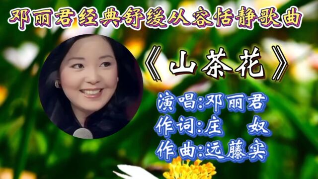 不朽经典!邓丽君经典歌曲《山茶花》歌词走心婉转,甜美悠扬嗓音,让人如痴如醉,百听不腻!