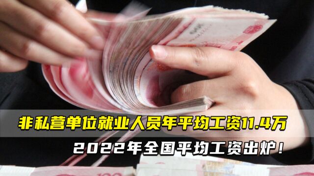 非私营单位就业人员年平均工资为11.4万⠠⠲022年全国平均工资出炉!