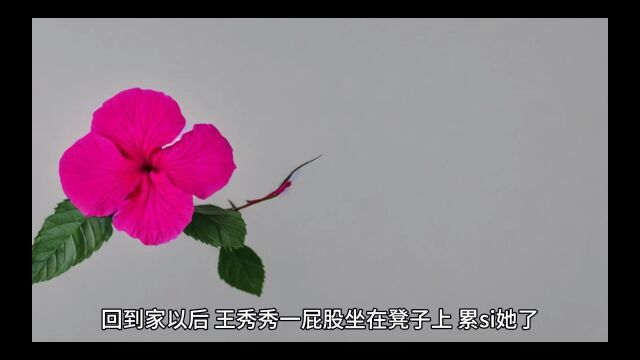 必读火书《军婚娇宠: 我靠十八个爷爷躺赢了》王秀秀全文无弹窗