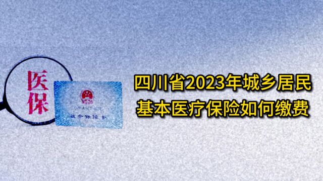 四川省2023年城乡居民基本医疗保险如何缴费