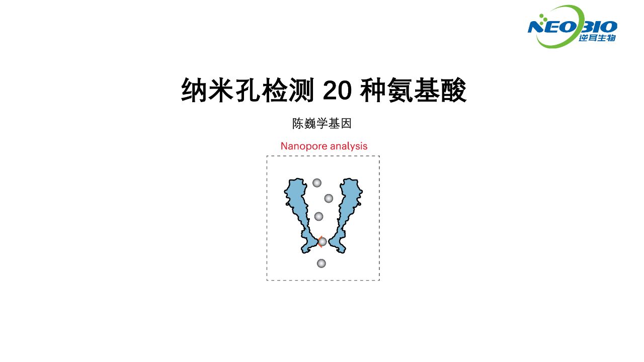 【陈巍学基因】纳米孔检测20种氨基酸