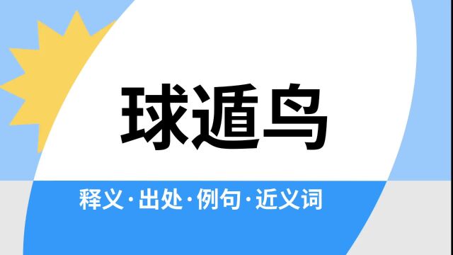 “球遁鸟”是什么意思?