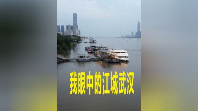 我生活在美丽的江城武汉,江城武汉四季都是美景,大武汉每天都充满着繁华.