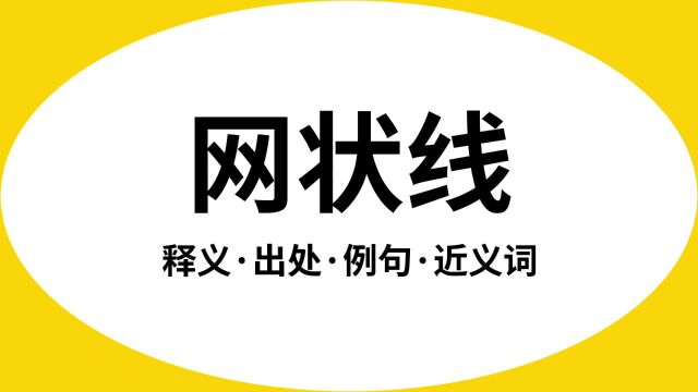 “网状线”是什么意思?