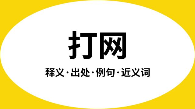 “打网”是什么意思?