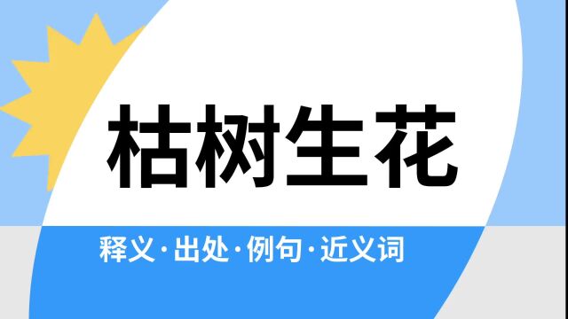 “枯树生花”是什么意思?