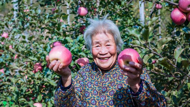 《印象沂源》201季 金秋中庄丰收季、重阳果乡晚情浓!